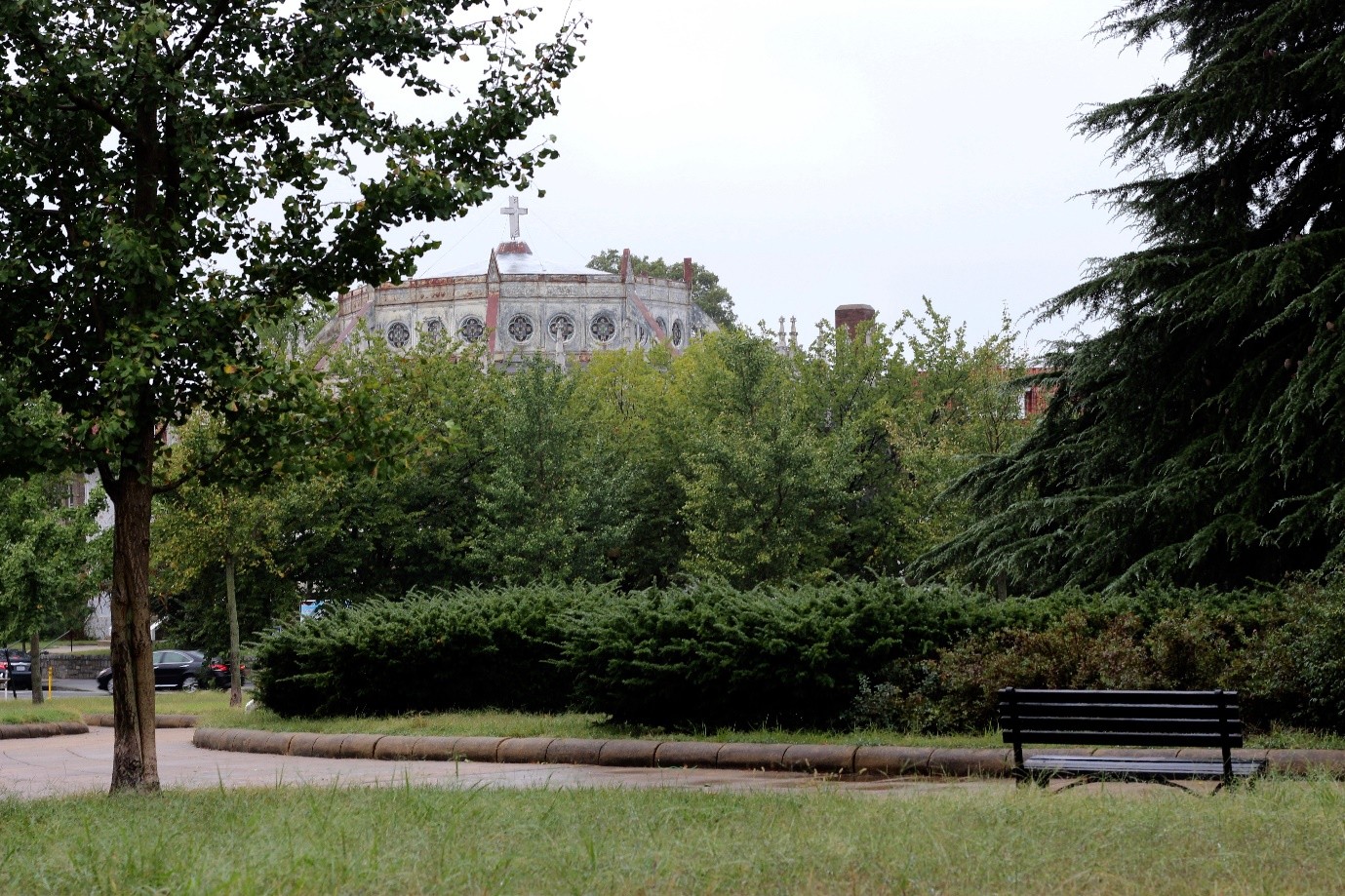 Petworth DC Cannabis & Weed Delivery