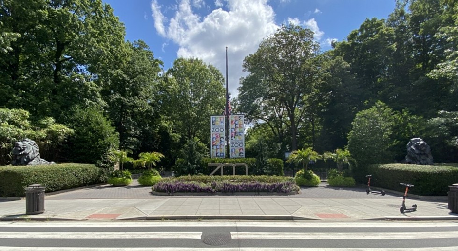 Cleveland Park Premium Cannabis & CBD Washington DC